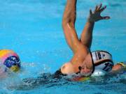 A Single German Boob.