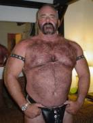 Leather Daddy Bear