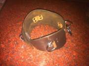 I Made A Locking Posture Collar With Three Attachment Points.