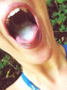 Adventure In The Woods