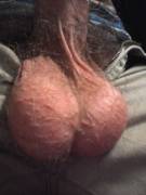 Should Be Working On A Paper, But Here's My Nuts Instead