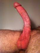 Dripping Precum Down To My Balls [Gif]