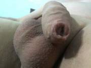 My Balls And Uncut Penis