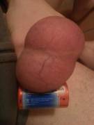 I Love My Monster Testicles! (D Size Battery For Scale)