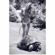 Don't Forget To Water Your Turtles!