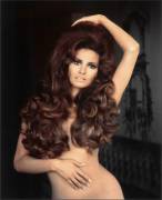 Raquel Welch (X-Post From R/Hairporn)