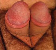 Some Love For All Tiny Dicks Fans