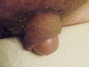 Nub Dick