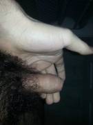 5&Amp;Quot; When Erect