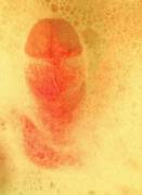 Bath Time For A Dirty Boy