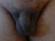 I Think I Found My New Home