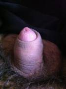 Lol You're Small?? The Mods Should Put Me In The Banner