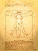 Growth Diagrams [Cal]