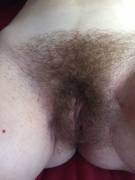 How Much Longer Do You Think It Will Take To Have A Good Bush? (F)