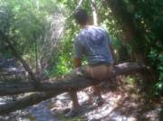 Beautiful Woodland Creature