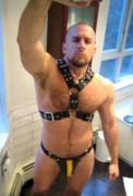 Harness