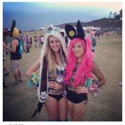 Pink Bunny And White Fox