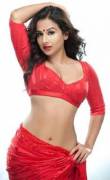 Red Hot Saree