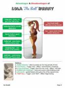 Lola Bunny [Space Jam] - Sneak Peek At Biography X - Advantages And Disadvantages