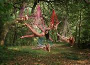 Deep In The Far Away Woods, You Will Find The Magical Fairies. Magical Bondage Fairies.