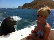 This Seal Couldn't Get Enough Of Mom