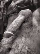 Otter Packing Wood And Nuts