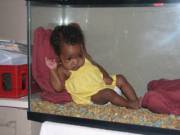 &Amp;Quot;Ain't No Bars On This Crib, My Baby Raised Seeing Freedom!&Amp;Quot; Xpost ...