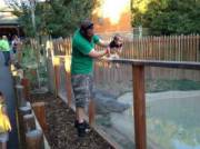 You Know What Would Be Cool?(Xpost)