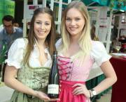 Girls In Dirndls [Xpost /R/Dirndls]