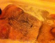 Bath Shot- Since I Got Lots Of Love For The Bed Shot.