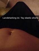 [Self] Elastic Shorts Part Two: Land Shark