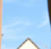 Dillion Is Ready For A Quick Match