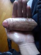 Semi Hard Uncut Piece Of Meat Vs Palm