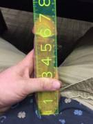 Clean &Amp;Amp;Amp; Green