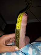 Measured, Pretty Average I Guess