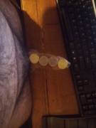 Comparing To My Dildos And Some Quarters