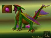 A Very Aerodynamic Dragoness [F]