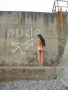 This Should Be The Nudist International Logo