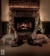 What A Wonderful Surprise For Santa