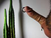 Liberty, Equality, Fraternity