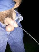 Nighttime Piss In The Park