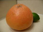 I F[O]Und Two Lost Oranges, Rejected By Society, And Gave Them The Shower-Orange ...