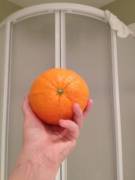 With The Theme Of New Design Of The Subreddit, I Took A Picture For The Top Bar Image!