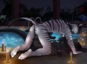 [Mf] Poolside Creampie