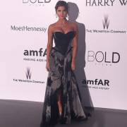 Amfar Gala
