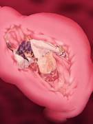 Dp: Still Struggling~ [Internal] [Oral] [F Prey]