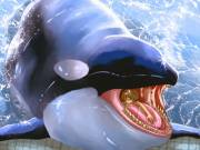 &Amp;Quot;Show Is Over&Amp;Quot; [Furry][Oral][Soft]