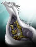 &Amp;Quot;Swallowed&Amp;Quot; [Furry][Soft][Oral][F/M]