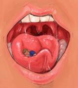 [Soft: Oral](Human F/M) A Series Of Separate Vore Sketches By Voraciouspanda