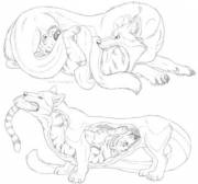 [Soft Vore][Oral Vore][Same-Size] Tasty Tiger